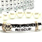 Rescue That Dog Bracelet