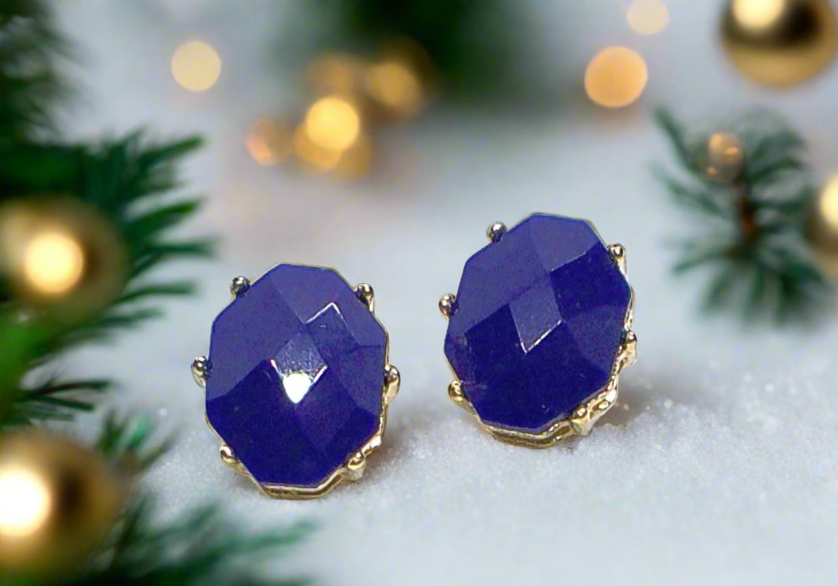 Stunning Navy Blue Studs