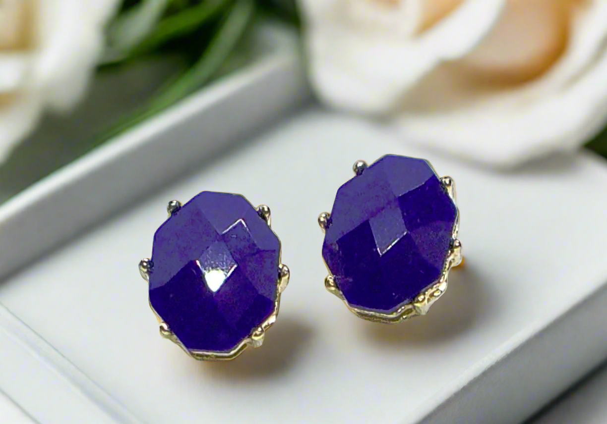 Stunning Navy Blue Studs