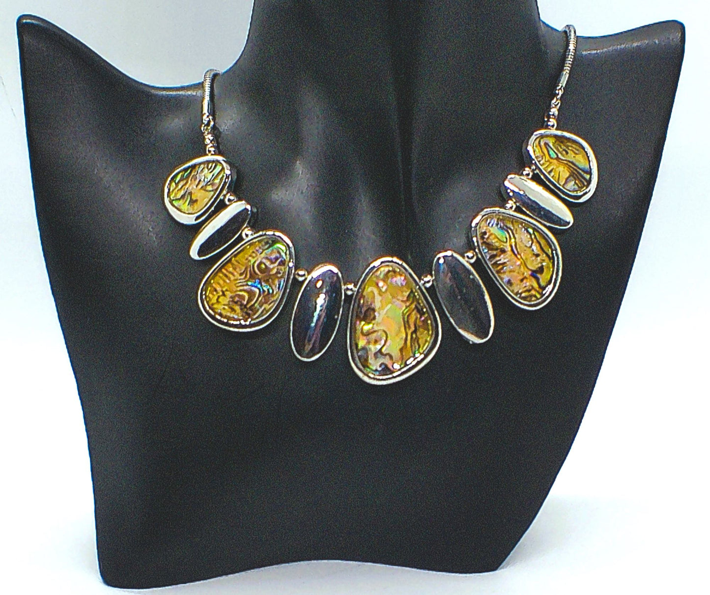 Gorgeous Abalone Necklace Set