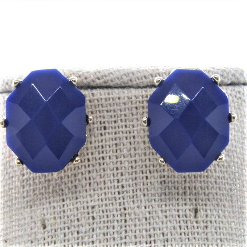 Stunning Navy Blue Studs