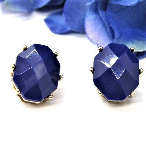 Stunning Navy Blue Studs