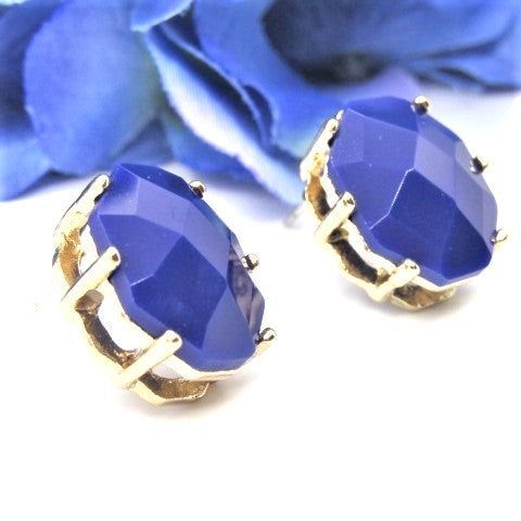 Stunning Navy Blue Studs