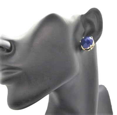 Stunning Navy Blue Studs